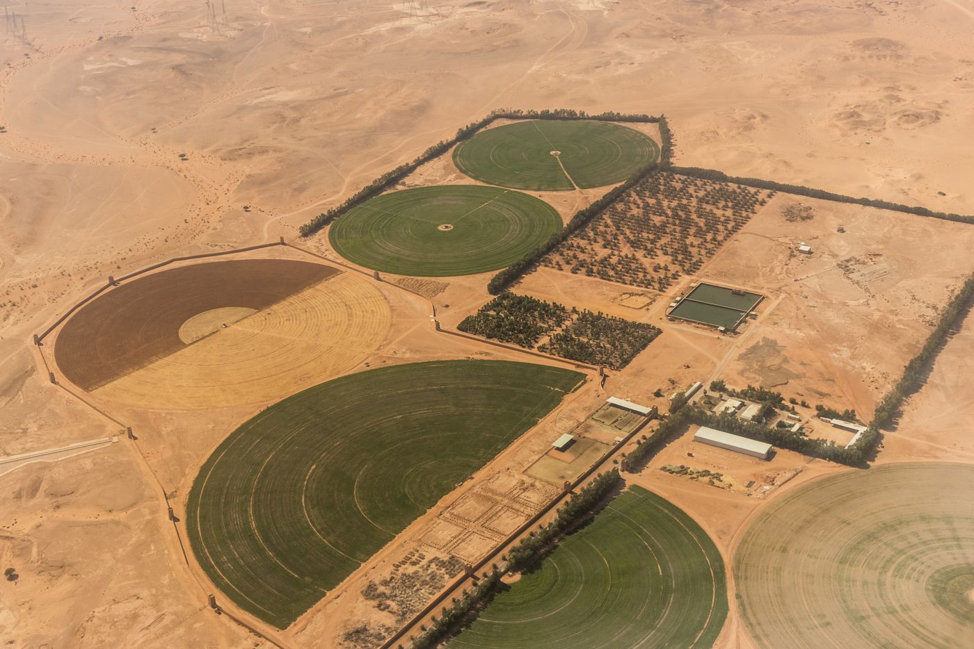 Aerial view of center-pivot farms in the desert near Riyadh